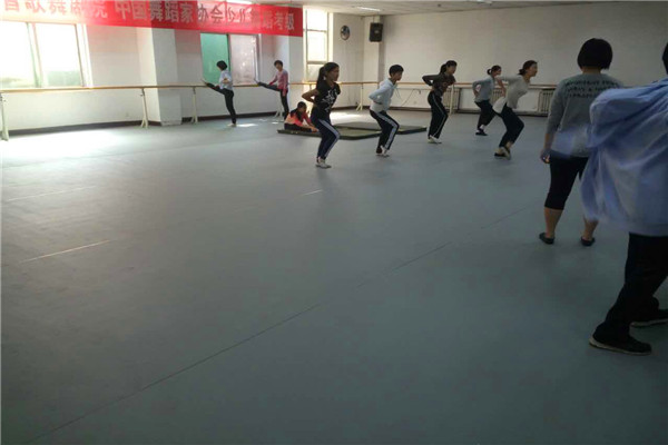 舞蹈地膠——河北省歌舞劇院成功案例