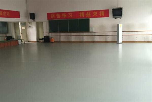 舞蹈地膠--湖北武漢青少年宮成功案例